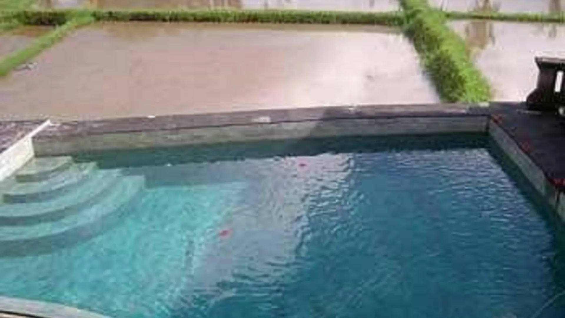 Ala's Green Lagoon Ubud Gasthuis