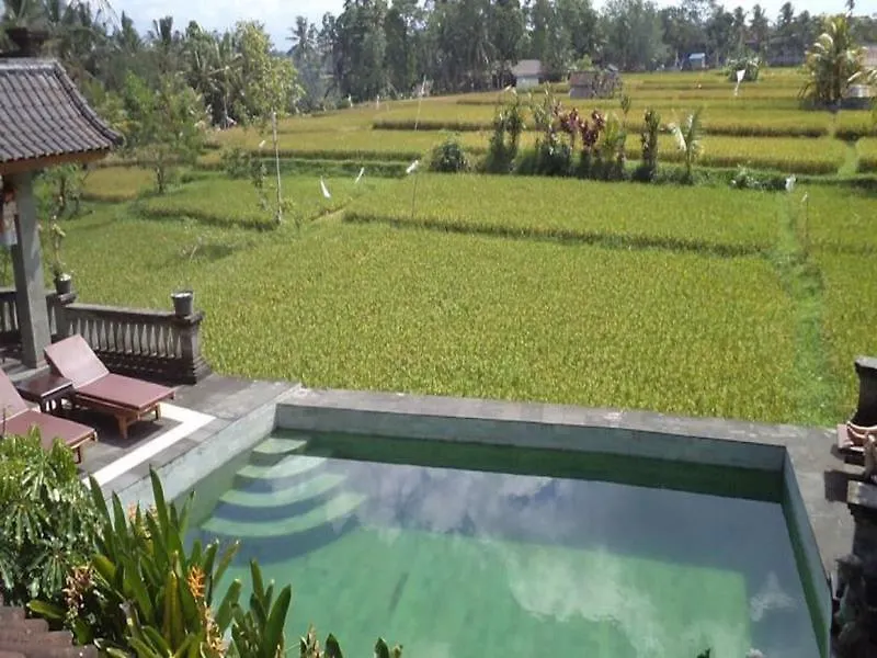 Ala's Green Lagoon Ubud 3*,  Indonesië