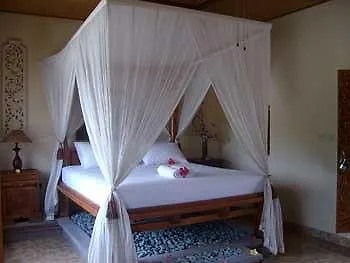 Ala'S Green Lagoon Ubud 3*,